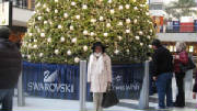 img_0008small.jpg